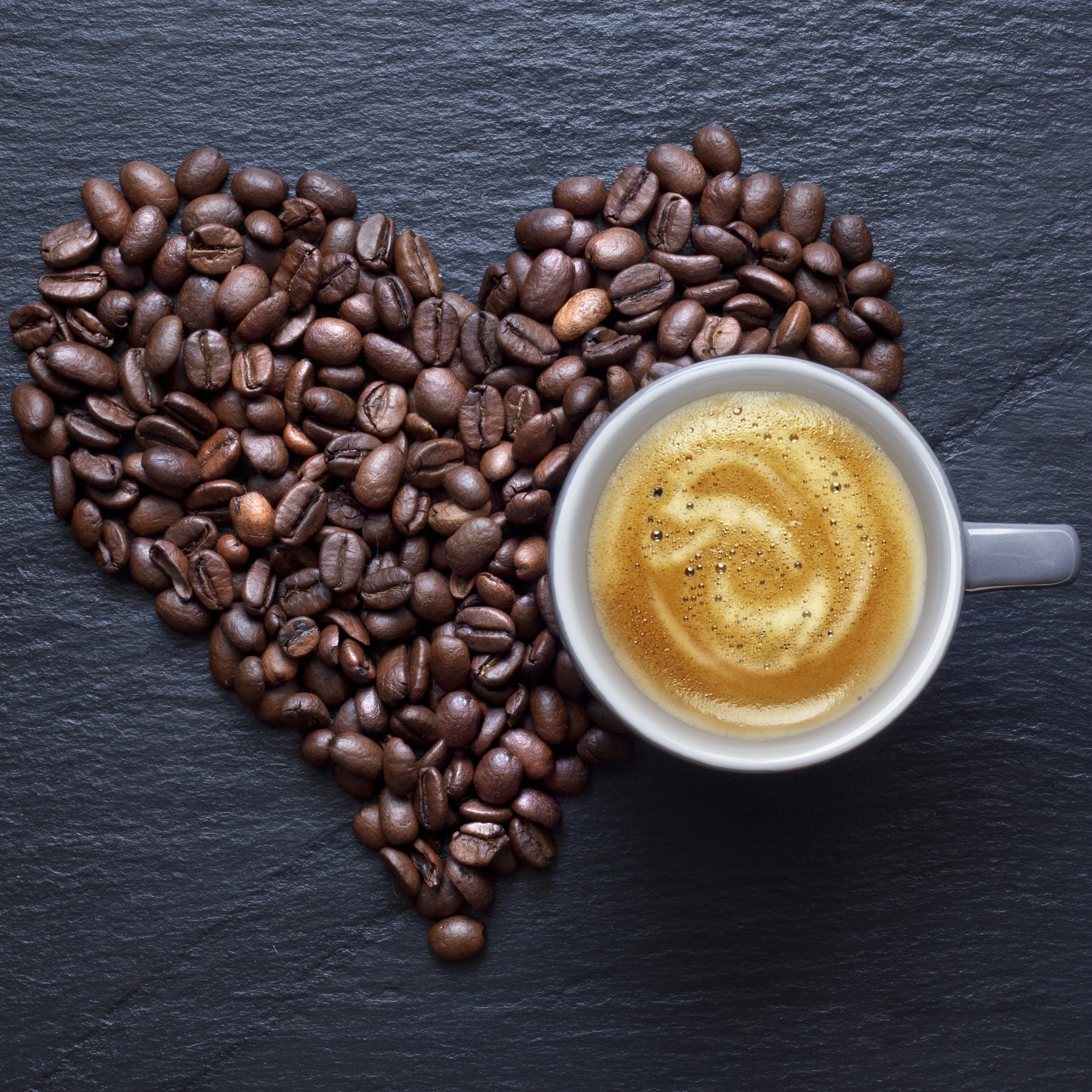 Image Alternate text